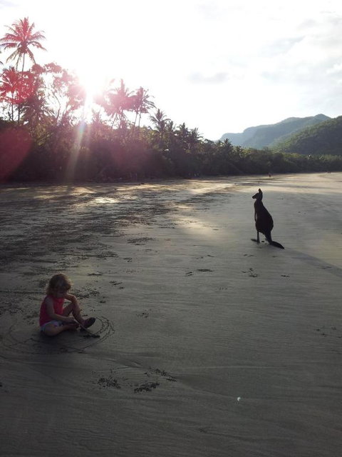 Seaforth Holiday Units - Accommodation Daintree 0