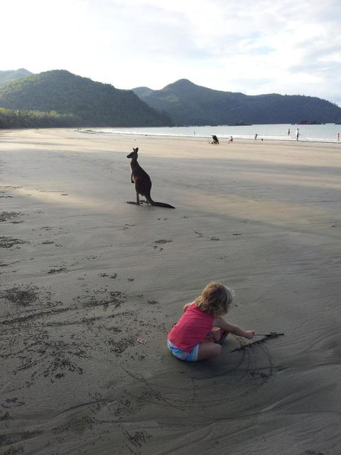 Seaforth Holiday Units - Accommodation Daintree 1