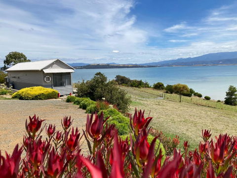 The Boat Shed - Accommodation Daintree 2