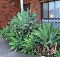 Beautiful Bedroom in Bentleigh East - Accommodation Daintree