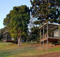 Beechmont Bean Cabins - Accommodation Daintree