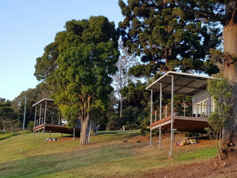 Beechmont Bean Cabins - Accommodation Daintree 0