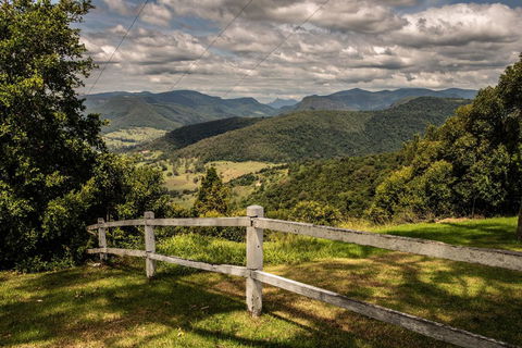 Beechmont Bean Cabins - Accommodation Daintree 2