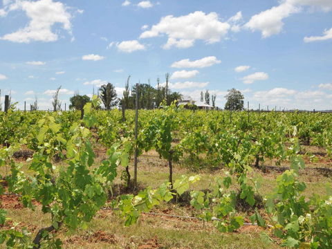 Beggars Bridge Vineyard Homestead W/ Pool + Wifi + Tennis + Vineyard - Accommodation Daintree 2