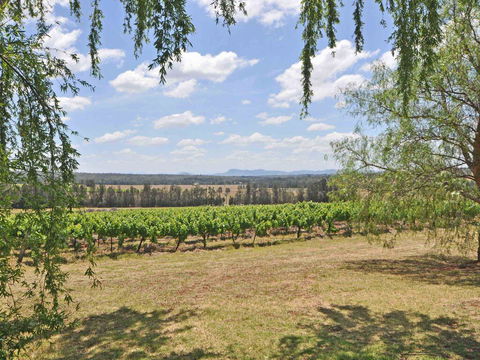 Beggars Bridge Vineyard Homestead W/ Pool + Wifi + Tennis + Vineyard - Accommodation Daintree 3