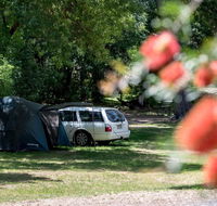 Belair National Park Holiday Park - Accommodation Daintree