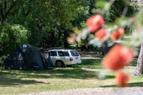 Belair National Park Holiday Park - Accommodation Daintree 0