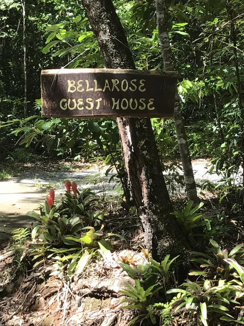 Bellarose Guest House - Accommodation Daintree 3