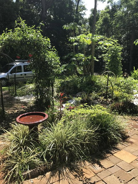 Bellarose Guest House - Accommodation Daintree 1