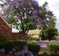 Belvoir Village Motel  Apartments Wodonga - Accommodation Daintree