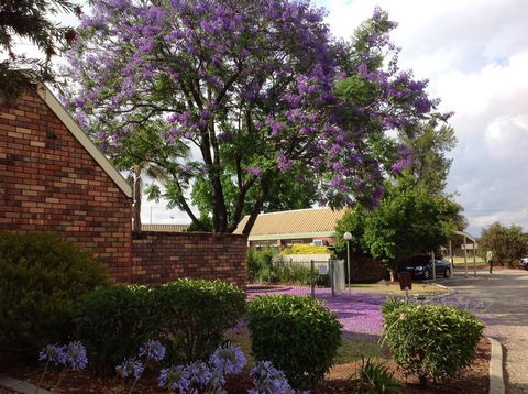 Belvoir Village Motel & Apartments Wodonga - Accommodation Daintree 0