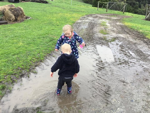 Beth's Cottage Roaring 40s - Accommodation Daintree 3