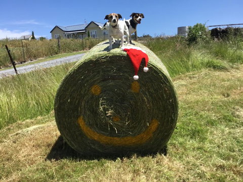 Beth's Cottage Roaring 40s - Accommodation Daintree 1