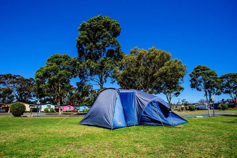 BIG4 Traralgon Park Lane Holiday Park - Accommodation Daintree 2