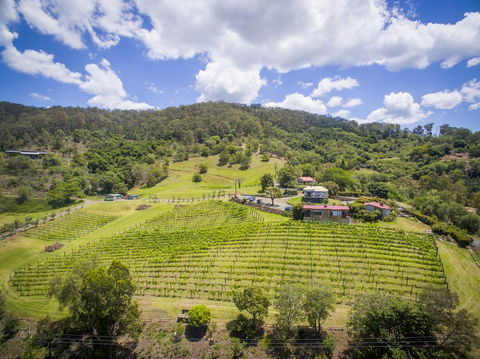 Bimbadeen Estate - Accommodation Daintree 1