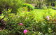 Bindley House B&B Cottage - thumb 2
