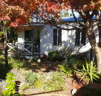 Bird N Branch - Accommodation Daintree