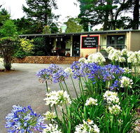 Blackheath Motor Inn - Accommodation Daintree