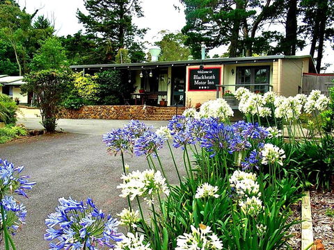 Blackheath Motor Inn - Accommodation Daintree 0