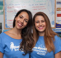 Blue Parrot Youth Hostel - Accommodation Daintree