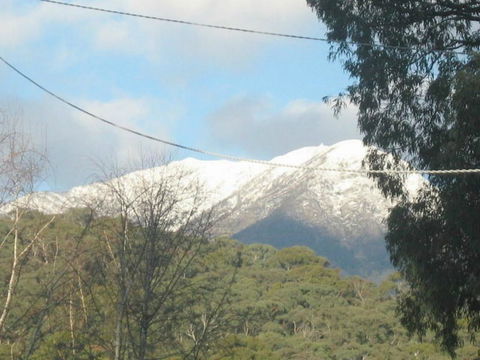 Blue Range Cottage - Accommodation Daintree 1