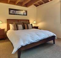 Blue-Bird - Accommodation Daintree