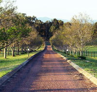 Blueberry Hill Vineyard Villa - Accommodation Daintree
