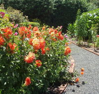 Boat Harbour Garden Cottages - Accommodation Daintree