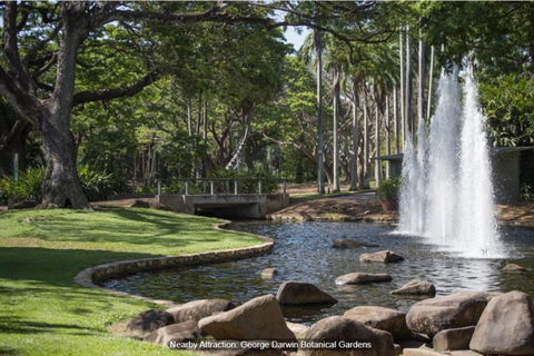 ZEN TREETOPS - Boutique 2-BR Apt W/ Private Pool - Accommodation Daintree 3