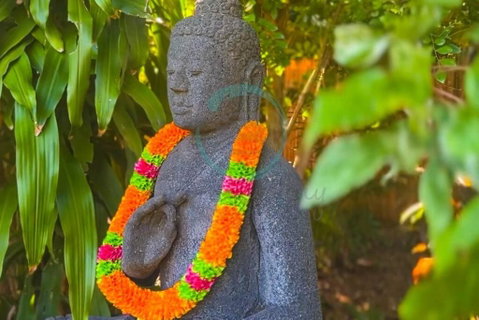Zenhouse: 6-BR Balinese Tropical Oasis In Nightcliff Central - Accommodation Daintree 3