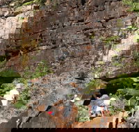 3-Day Kakadu 4WD Camping Safari from Darwin - Accommodation Daintree
