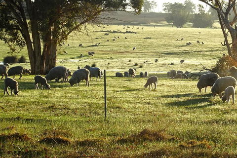The Big Wave Rock (Private) Day Tour - Accommodation Daintree 1