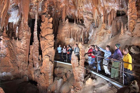 Private Tour: Jenolan Caves & Blue Mountains In A Day - Accommodation Daintree 0