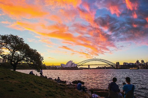 Private Tour: Sydney City Highlights - Accommodation Daintree 3
