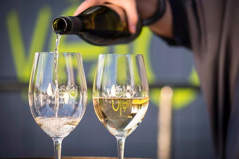 Full Day Tamar Valley Wine Tour - Accommodation Daintree 2