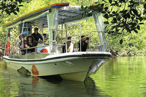 5-Day Best Of Cairns With Daintree, Kuranda, And Great Barrier Reef - Accommodation Daintree 1