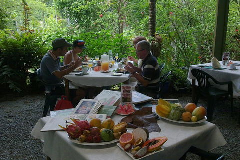 5-Day Best Of Cairns With Daintree, Kuranda, And Great Barrier Reef - Accommodation Daintree 4