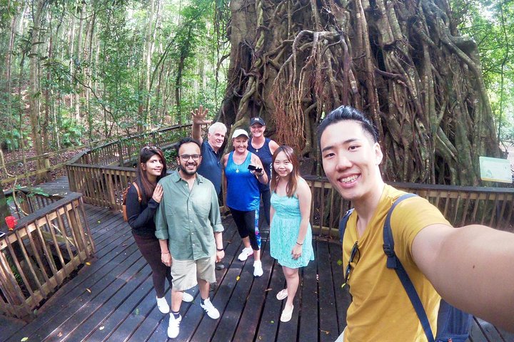  Accommodation Daintree