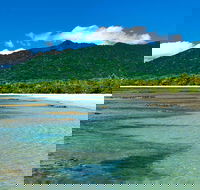 8-Day Cairns Tour Great Barrier Reef Kuranda Daintree Rainforest - Accommodation Daintree