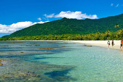 8-Day Cairns Tour: Great Barrier Reef, Kuranda, Daintree Rainforest - Accommodation Daintree 0