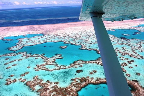 8-Day Cairns Tour: Great Barrier Reef, Kuranda, Daintree Rainforest - Accommodation Daintree 2