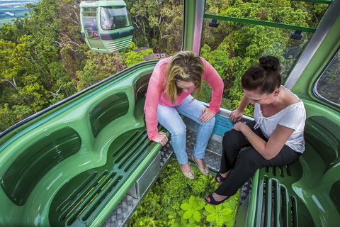 8-Day Cairns Tour: Great Barrier Reef, Kuranda, Daintree Rainforest - Accommodation Daintree 3
