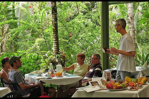 8-Day Cairns Tour: Great Barrier Reef, Kuranda, Daintree Rainforest - Accommodation Daintree 4