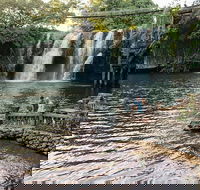Paronella Park and Millaa Millaa Falls Full-day Tour from Cairns - Accommodation Daintree
