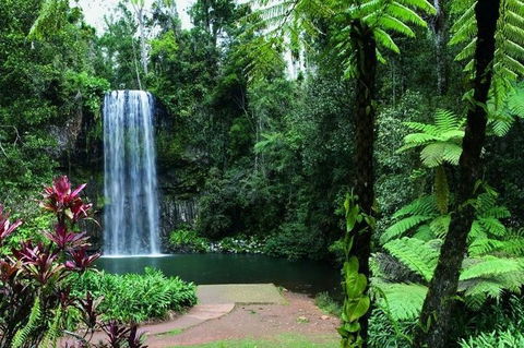 Paronella Park And Millaa Millaa Falls Full-day Tour From Cairns - Accommodation Daintree 3