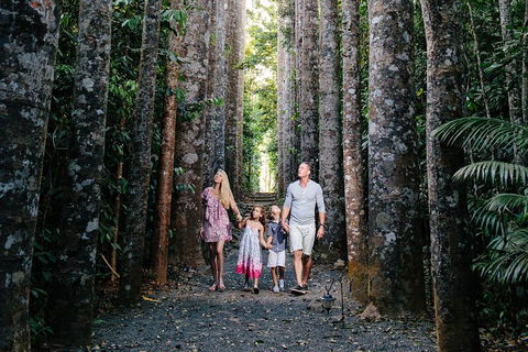 Paronella Park And Millaa Millaa Falls Full-day Tour From Cairns - Accommodation Daintree 5