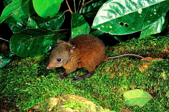  Accommodation Daintree