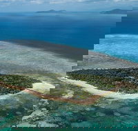 4-Day Cairns with Great Barrier Reef and Daintree Rainforest - Accommodation Daintree