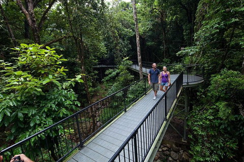 4-Day Cairns With Great Barrier Reef And Daintree Rainforest - Accommodation Daintree 1