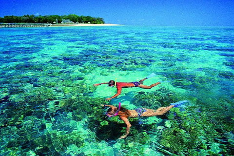 4-Day Cairns With Great Barrier Reef And Daintree Rainforest - Accommodation Daintree 2
